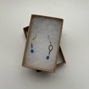 NWT Hanging Earrings Silver and Blue